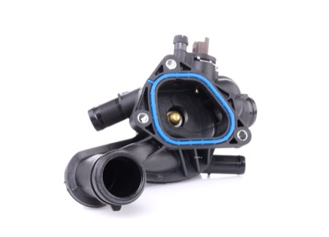 Ridex 316T0121 Thermostat