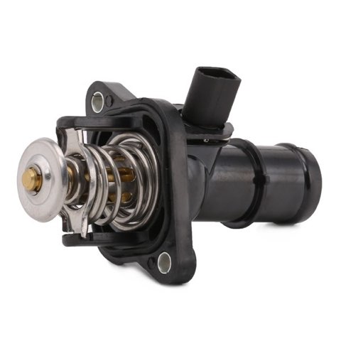 Ridex 316T0127 Thermostat, photo 2