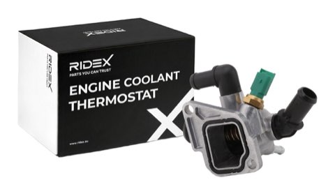 Ridex 316T0133 Thermostat