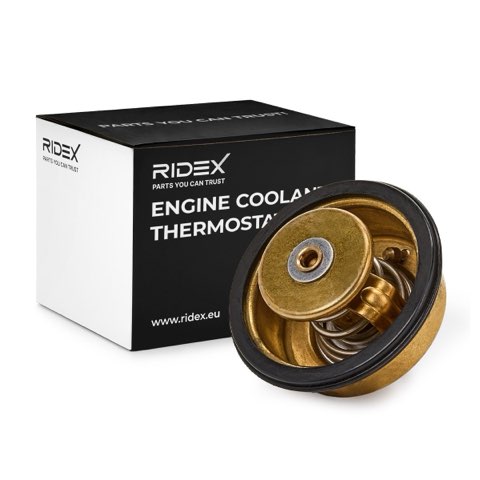 Ridex 316T0141 Thermostat