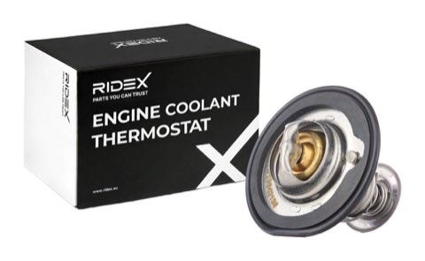 Ridex 316T0149 Thermostat, photo 2