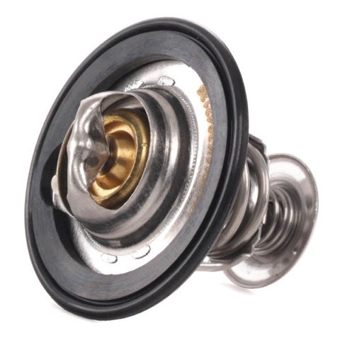 Ridex 316T0149 Thermostat, photo 3