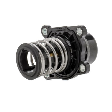 Ridex 316T0155 Thermostat