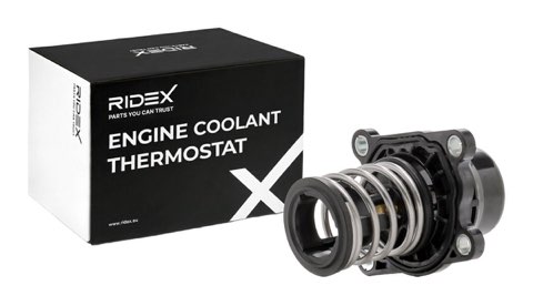 Ridex 316T0155 Thermostat, photo 2