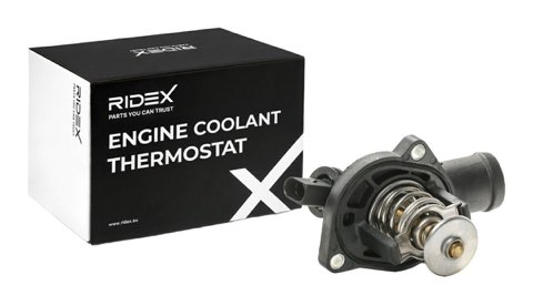 Ridex 316T0166 Thermostat, photo 2