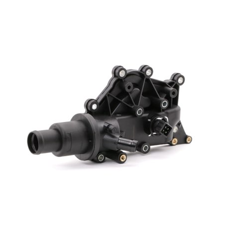 Ridex 316T0172 Thermostat