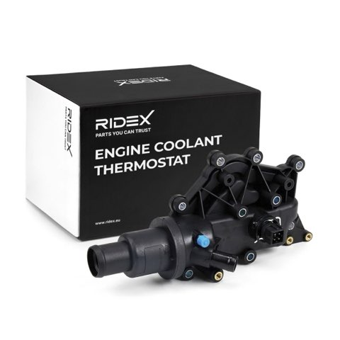 Ridex 316T0172 Thermostat, photo 2