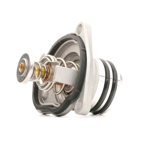 Ridex 316T0176 Thermostat