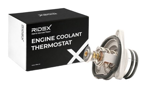 Ridex 316T0176 Thermostat, photo 2
