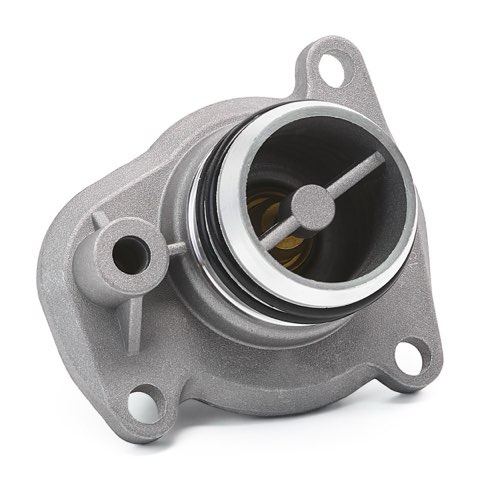 Ridex 316T0176 Thermostat, photo 3