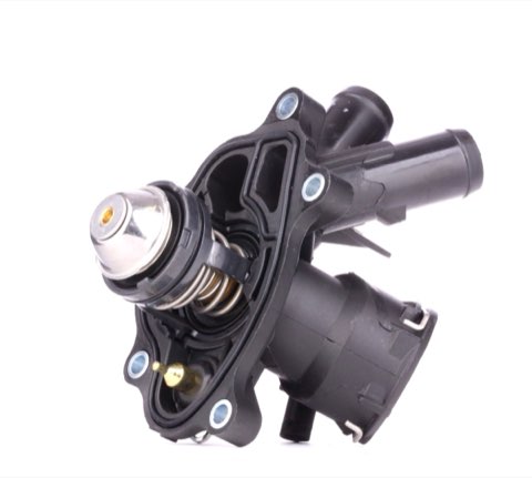 Ridex 316T0179 Thermostat