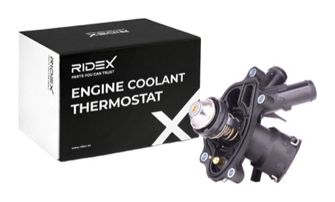 Ridex 316T0179 Thermostat, photo 2