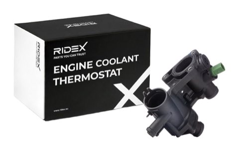 Ridex 316T0197 Thermostat, photo 2