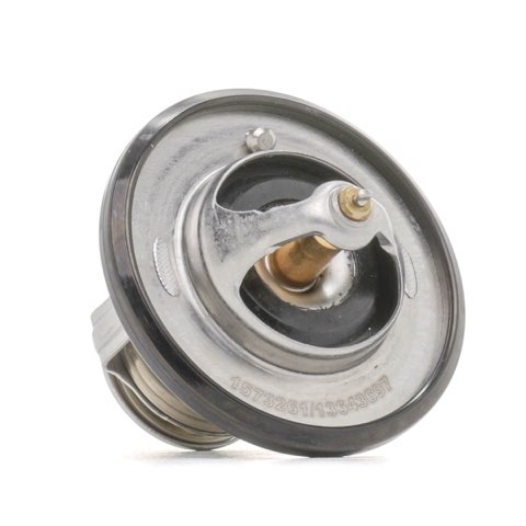 Ridex 316T0199 Thermostat