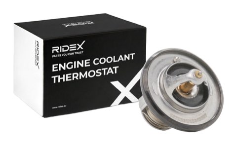 Ridex 316T0199 Thermostat, photo 2
