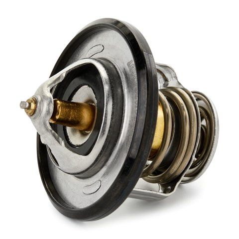 Ridex 316T0199 Thermostat, photo 3