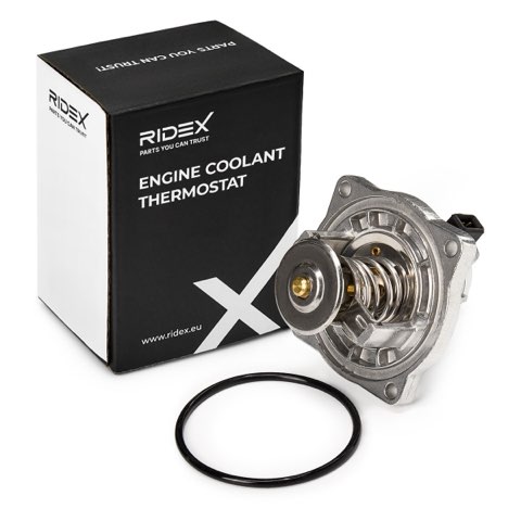 Ridex 316T0201 Thermostat, photo 2
