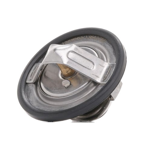 Ridex 316T0208 Thermostat