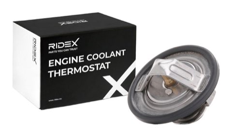 Ridex 316T0208 Thermostat, photo 2