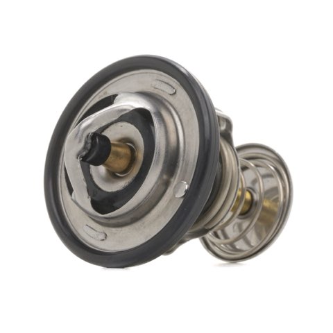Ridex 316T0236 Thermostat