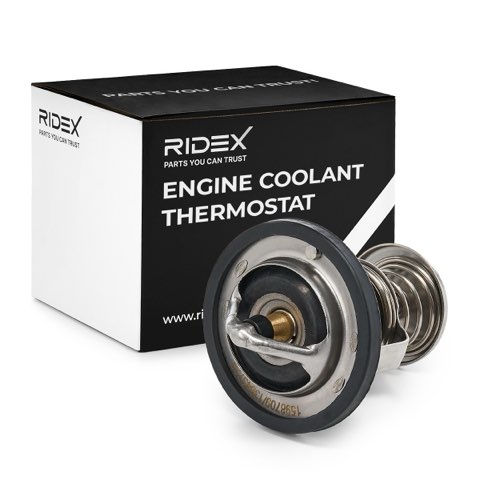 Ridex 316T0236 Thermostat, photo 2