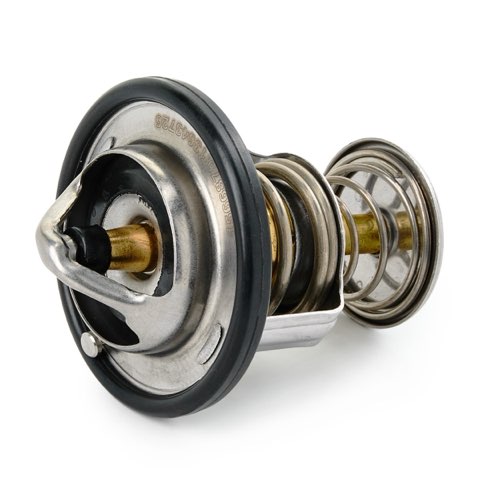 Ridex 316T0236 Thermostat, photo 3