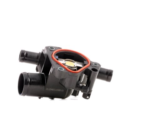 Ridex 316T0243 Thermostat