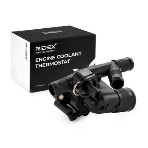 Ridex 316T0243 Thermostat, photo 2