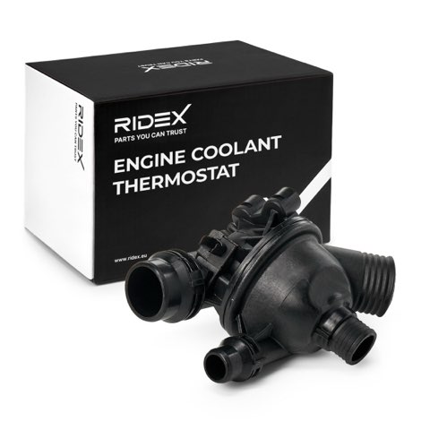 Ridex 316T0249 Thermostat, photo 2