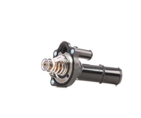 Ridex 316T0250 Thermostat