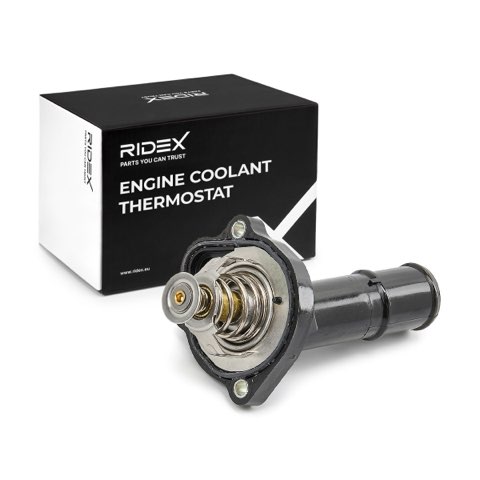 Ridex 316T0250 Thermostat, photo 2