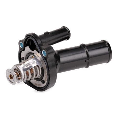 Ridex 316T0250 Thermostat, photo 3