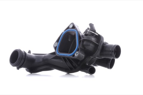 Ridex 316T0266 Thermostat