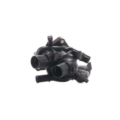 Ridex 316T0268 Thermostat