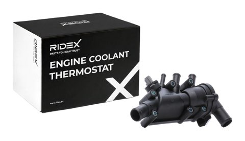 Ridex 316T0269 Thermostat, photo 2
