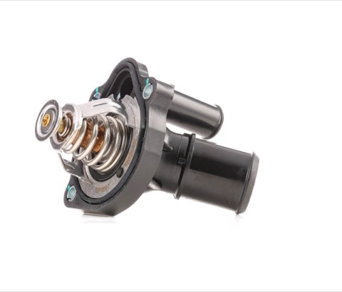 Ridex 316T0273 Thermostat