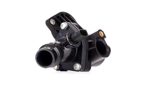 Ridex 316T0275 Thermostat