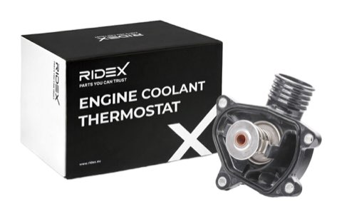 Ridex 316T0281 Thermostat, photo 2