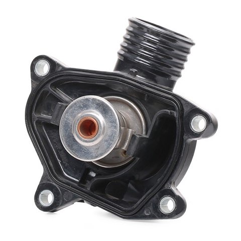 Ridex 316T0281 Thermostat, photo 3