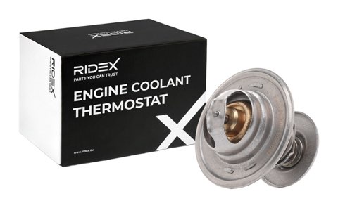 Ridex 316T0289 Thermostat