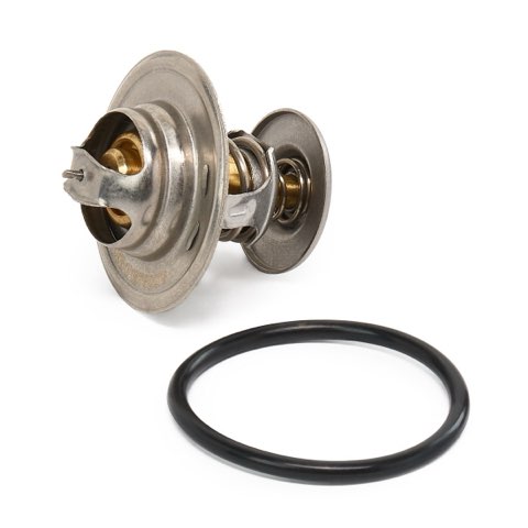 Ridex 316T0289 Thermostat, photo 3