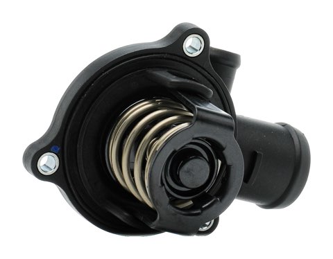 Ridex 316T0301 Thermostat