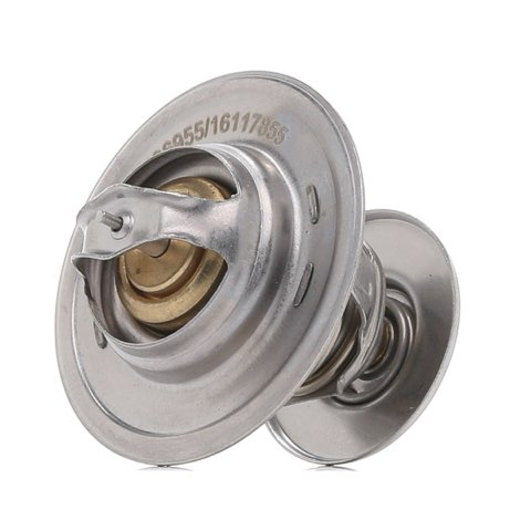 Ridex 316T0320 Thermostat, photo 2