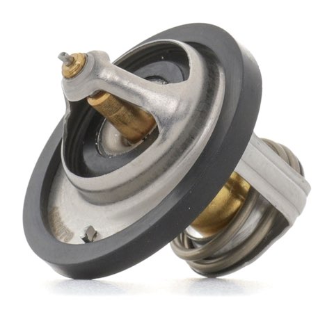 Ridex 316T0356 Thermostat, photo 2