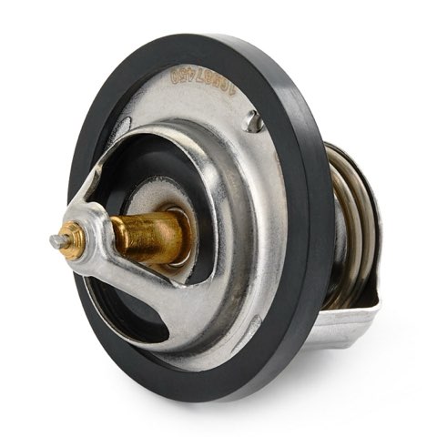 Ridex 316T0356 Thermostat, photo 3