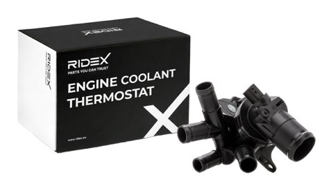 Ridex 316T0384 Thermostat