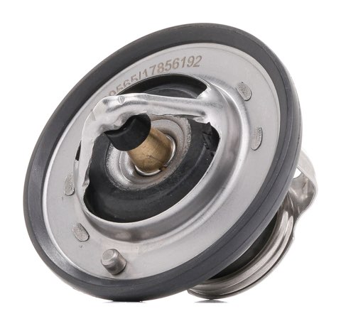 Ridex 316T0407 Thermostat, photo 2