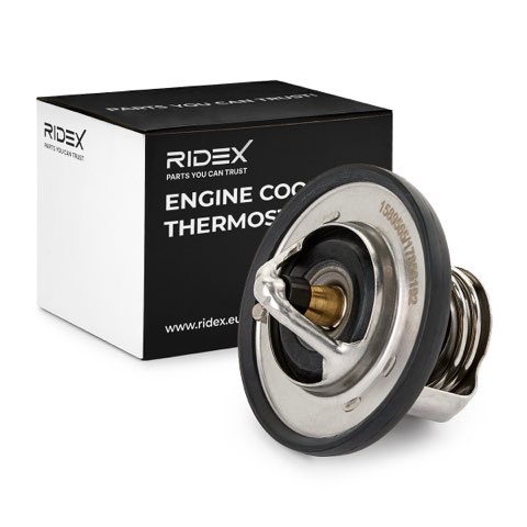 Ridex 316T0407 Thermostat