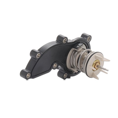 Ridex 316T0417 Thermostat, photo 2