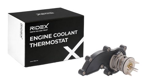 Ridex 316T0417 Thermostat